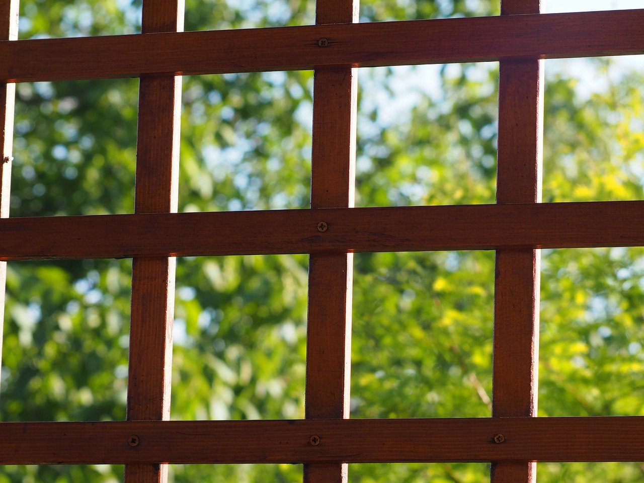 Quel est le prix d'une pergola sur mesure ?