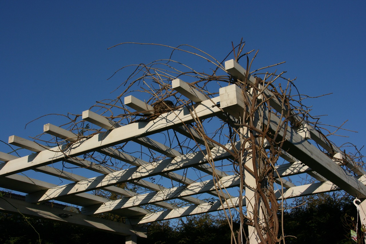 Quelques conseils pour bien choisir la matière de votre pergola