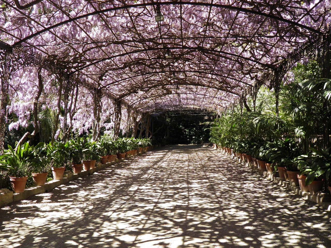 Quel est le prix d&rsquo;une pergola sur mesure ?